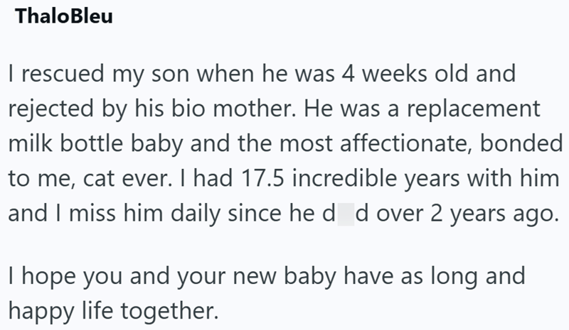 ThaloBleu I rescued my son when he was 4 weeks old and rejected by his bio mother. He was a replacement milk bottle baby and the most affectionate, bonded to me, cat ever. I had 17.5 incredible years with him and I miss him daily since he d d over 2 years ago. I hope you and your new baby have as long and happy life together.