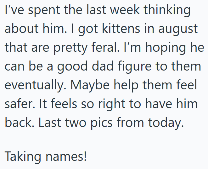 I've spent the last week thinking about him. I got kittens in august that are pretty feral. I'm hoping he can be a good dad figure to them eventually. Maybe help them feel safer. It feels so right to have him back. Last two pics from today. Taking names!