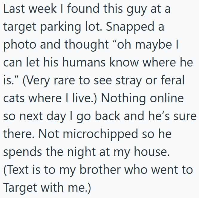 Last week I found this guy at a target parking lot. Snapped a photo and thought "oh maybe I can let his humans know where he is." (Very rare to see stray or feral cats where I live.) Nothing online. so next day I go back and he's sure there. Not microchipped so he spends the night at my house. (Text is to my brother who went to Target with me.)