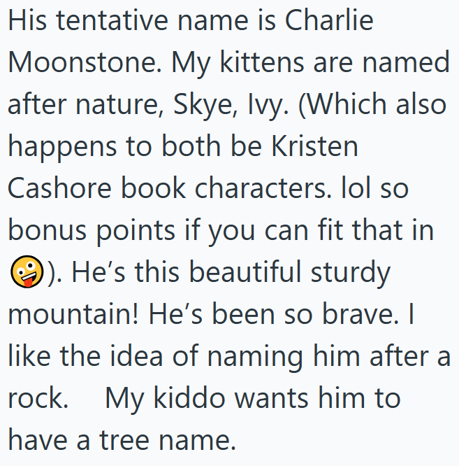 His tentative name is Charlie Moonstone. My kittens are named after nature, Skye, Ivy. (Which also happens to both be Kristen Cashore book characters. lol so bonus points if you can fit that in ). He's this beautiful sturdy mountain! He's been so brave. I like the idea of naming him after a rock. My kiddo wants him to have a tree name.