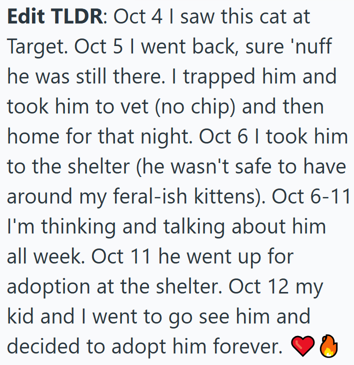 Edit TLDR: Oct 4 I saw this cat at Target. Oct 5 I went back, sure 'nuff he was still there. I trapped him and took him to vet (no chip) and then home for that night. Oct 6 I took him to the shelter (he wasn't safe to have around my feral-ish kittens). Oct 6-11 I'm thinking and talking about him all week. Oct 11 he went up for adoption at the shelter. Oct 12 my kid and I went to go see him and decided to adopt him forever.