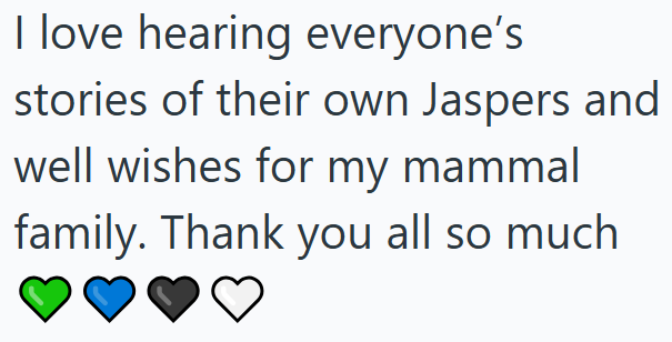 I love hearing everyone's stories of their own Jaspers and well wishes for my mammal family. Thank you all so much
