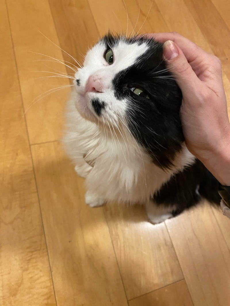 Cheezburger Image 10619687168