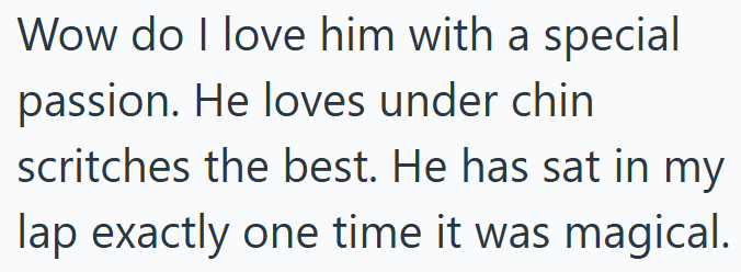 Wow do I love him with a special passion. He loves under chin scritches the best. He has sat in my lap exactly one time it was magical.