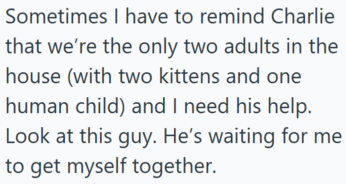 Sometimes I have to remind Charlie that we're the only two adults in the house (with two kittens and one human child) and I need his help. Look at this guy. He's waiting for me to get myself together.