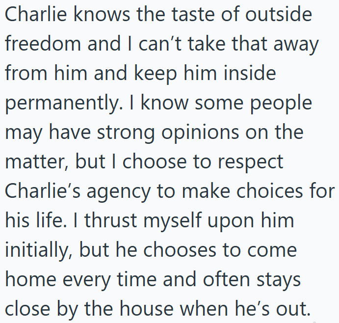 Charlie knows the taste of outside freedom and I can't take that away from him and keep him inside permanently. I know some people may have strong opinions on the matter, but I choose to respect Charlie's agency to make choices for his life. I thrust myself upon him initially, but he chooses to come home every time and often stays close by the house when he's out.