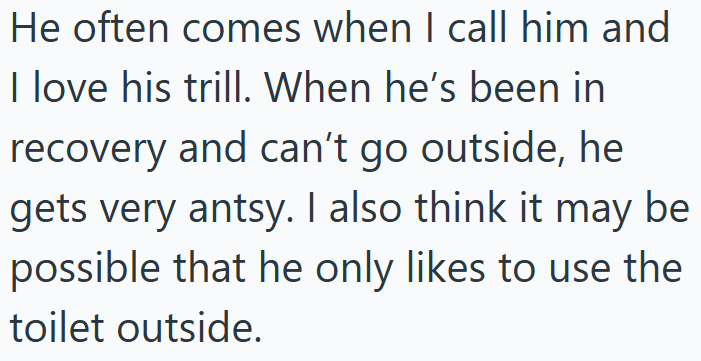 He often comes when I call him and I love his trill. When he's been in recovery and can't go outside, he gets very antsy. I also think it may be possible that he only likes to use the toilet outside.