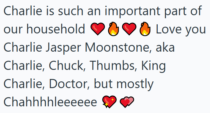 Charlie is such an important part of our household ❤❤ Love you Charlie Jasper Moonstone, aka Charlie, Chuck, Thumbs, King Charlie, Doctor, but mostly Chahhhhleeeeee