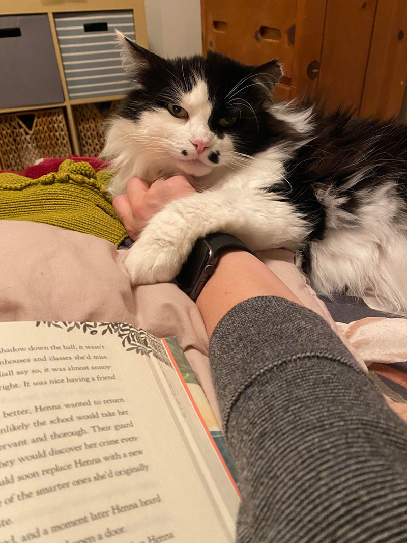 hadow down the hall, it wasn't nhouses and classes she'd miss iall say so, it was almost annoy right. It was nice having a friend better. Henna wanted to return nlikely the school would take her ervant and thorough. Their guard They would discover her crime every uld soon replace Henna with a new of the smarter ones she'd originally and a moment later Henna heard a door Henna