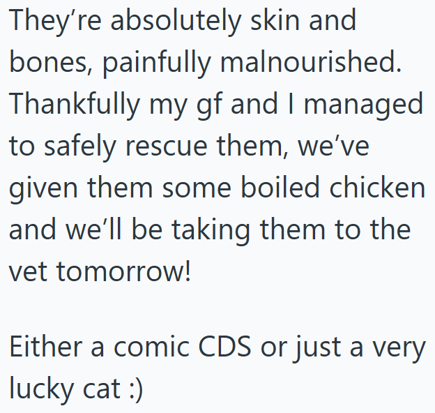 They're absolutely skin and bones, painfully malnourished. Thankfully my gf and I managed to safely rescue them, we've given them some boiled chicken and we'll be taking them to the vet tomorrow! Either a comic CDS or just a very lucky cat :)
