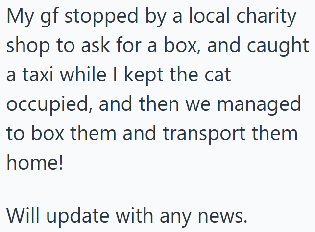 My gf stopped by a local charity shop to ask for a box, and caught a taxi while I kept the cat occupied, and then we managed to box them and transport them home! Will update with any news.