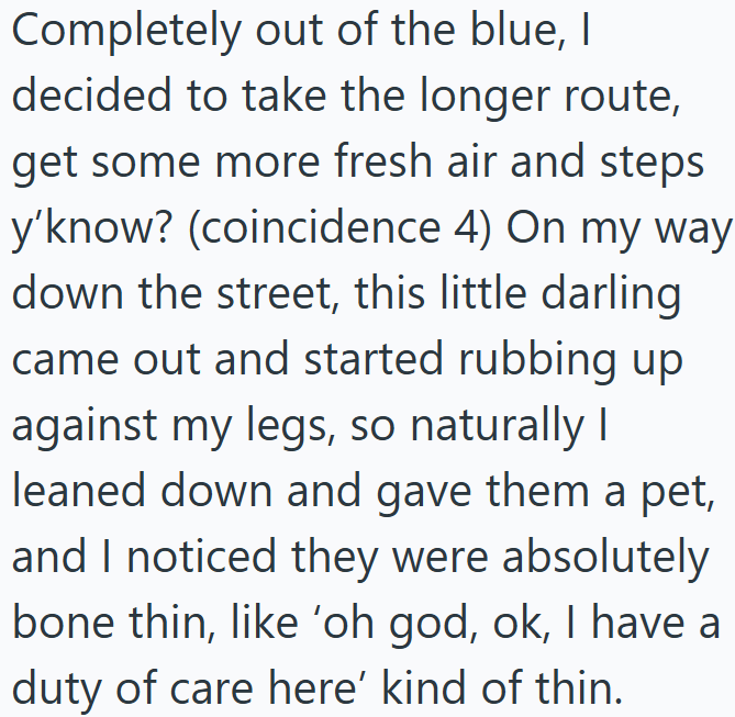 Completely out of the blue, I decided to take the longer route, get some more fresh air and steps y'know? (coincidence 4) On my way down the street, this little darling came out and started rubbing up against my legs, so naturally I leaned down and gave them a pet, and I noticed they were absolutely bone thin, like 'oh god, ok, I have a duty of care here' kind of thin.