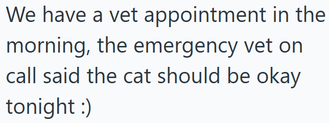 We have a vet appointment in the morning, the emergency vet on call said the cat should be okay tonight :)
