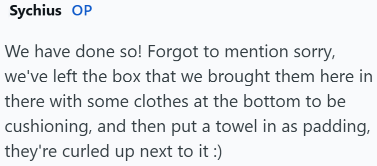 Sychius OP We have done so! Forgot to mention sorry, we've left the box that we brought them here in there with some clothes at the bottom to be cushioning, and then put a towel in as padding, they're curled up next to it :)