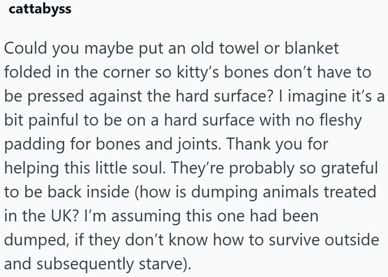 cattabyss Could you maybe put an old towel or blanket folded in the corner so kitty's bones don't have to be pressed against the hard surface? I imagine it's a bit painful to be on a hard surface with no fleshy padding for bones and joints. Thank you for helping this little soul. They're probably so grateful to be back inside (how is dumping animals treated in the UK? I'm assuming this one had been dumped, if they don't know how to survive outside and subsequently starve).