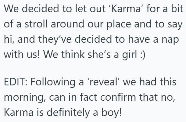 We decided to let out 'Karma' for a bit of a stroll around our place and to say hi, and they've decided to have a nap with us! We think she's a girl :) EDIT: Following a 'reveal' we had this morning, can in fact confirm that no, Karma is definitely a boy!