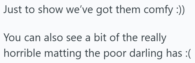 Just to show we've got them comfy :)) You can also see a bit of the really horrible matting the poor darling has :(