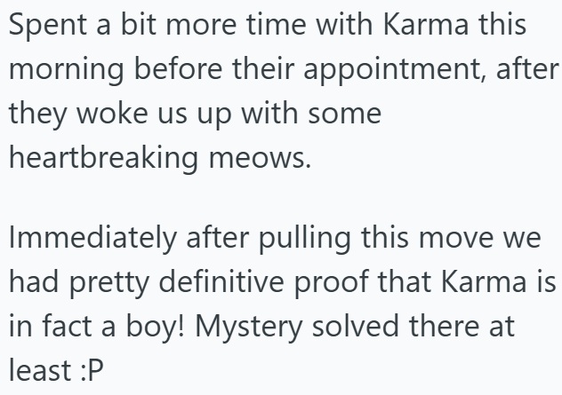 Spent a bit more time with Karma this morning before their appointment, after they woke us up with some heartbreaking meows. Immediately after pulling this move we had pretty definitive proof that Karma is in fact a boy! Mystery solved there at least :P