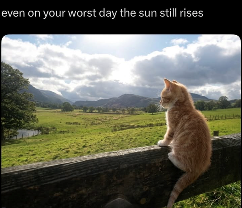even on your worst day the sun still rises