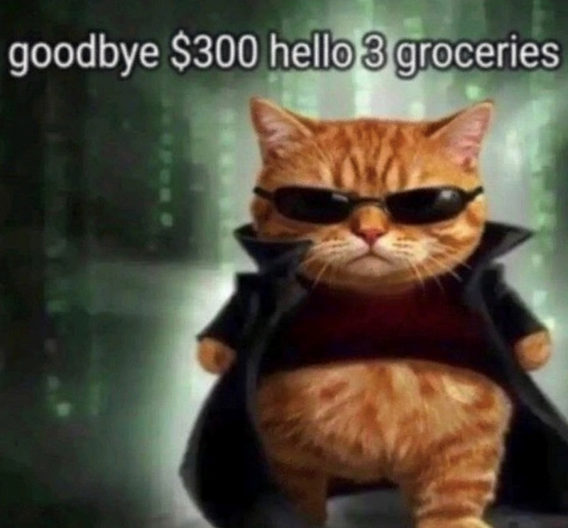 goodbye $300 hello 3 groceries