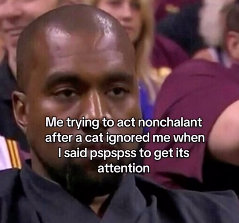 Me trying to act nonchalant after a cat ignored me when I said pspspss to get its attention