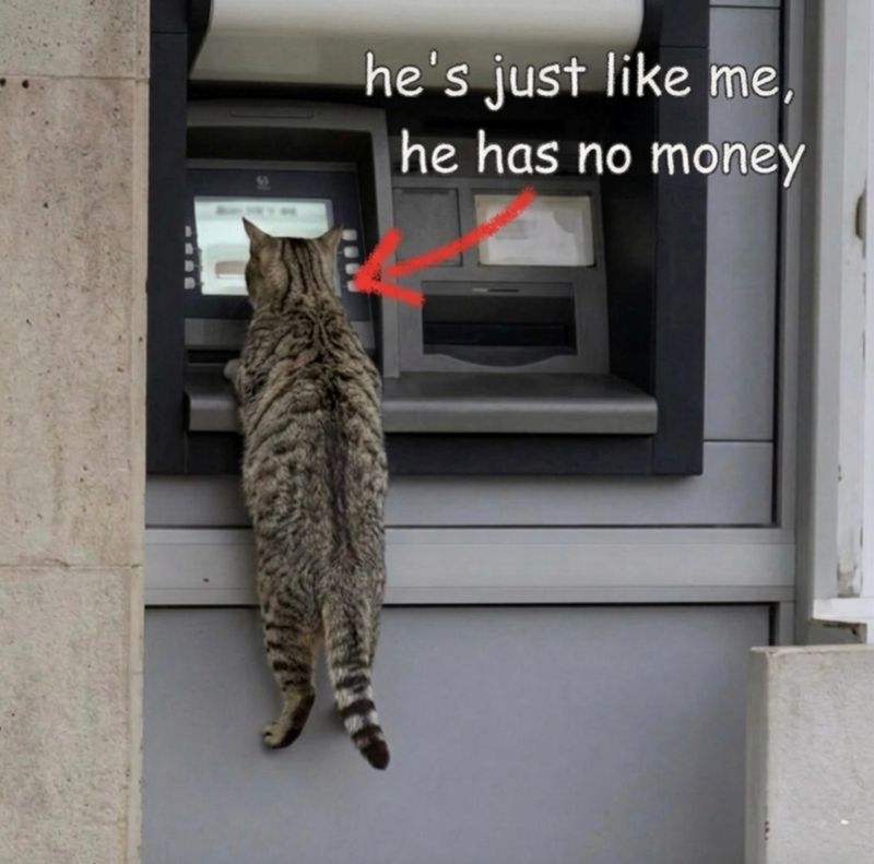 he's just like me, he has no money
