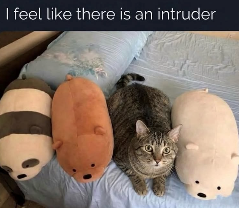 I feel like there is an intruder