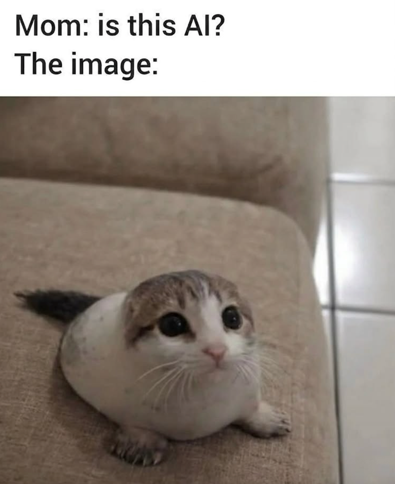 Mom: is this Al? The image: