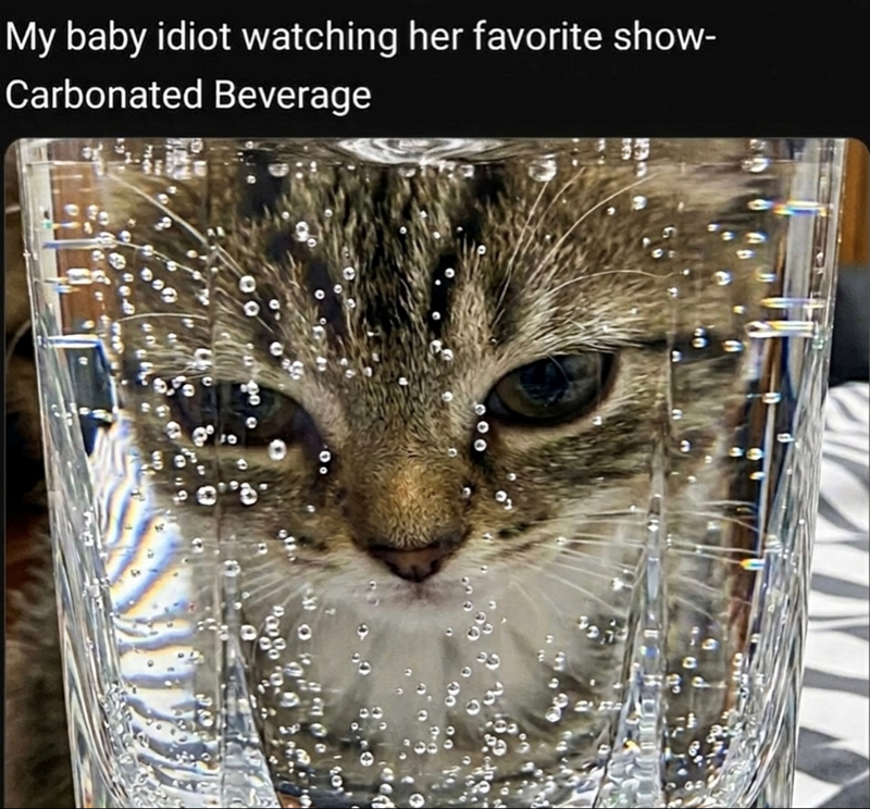 My baby idiot watching her favorite show- Carbonated Beverage