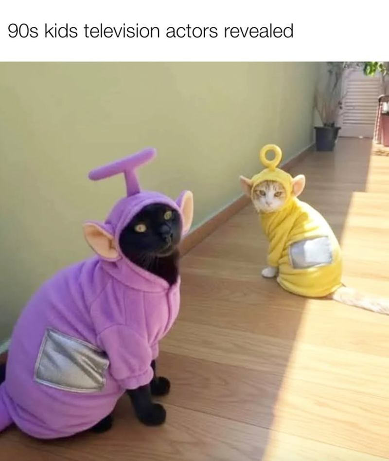 90s kids television actors revealed