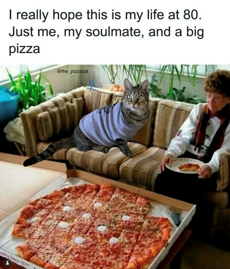 I really hope this is my life at 80. Just me, my soulmate, and a big pizza @the_pizzacat lity Since 1971