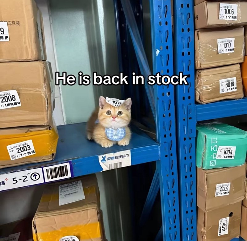 一车队领 9 拖把 1006 蕊1个连把 1010 送,1个大肚 2008 1把關伞 He is back in stock 1015 6018 匯1个跟风机 5-2-1 2003 1个拖把 3话 5-2① 免查快递超市 1004 1 5009 1个ㄨˋ 4011