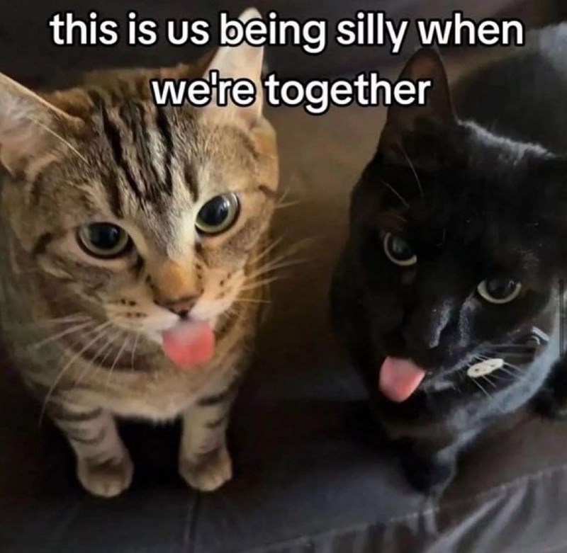 this is us being silly when we're together