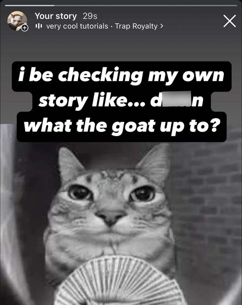 Your story 29s very cool tutorials • Trap Royalty > i be checking my own story like... d__n what the goat up to? Х