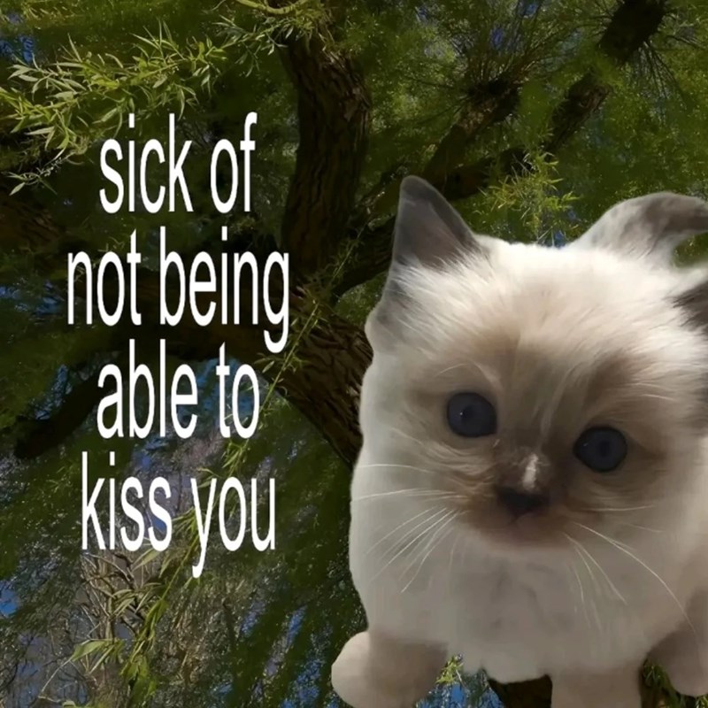 sick of not being able to kiss you