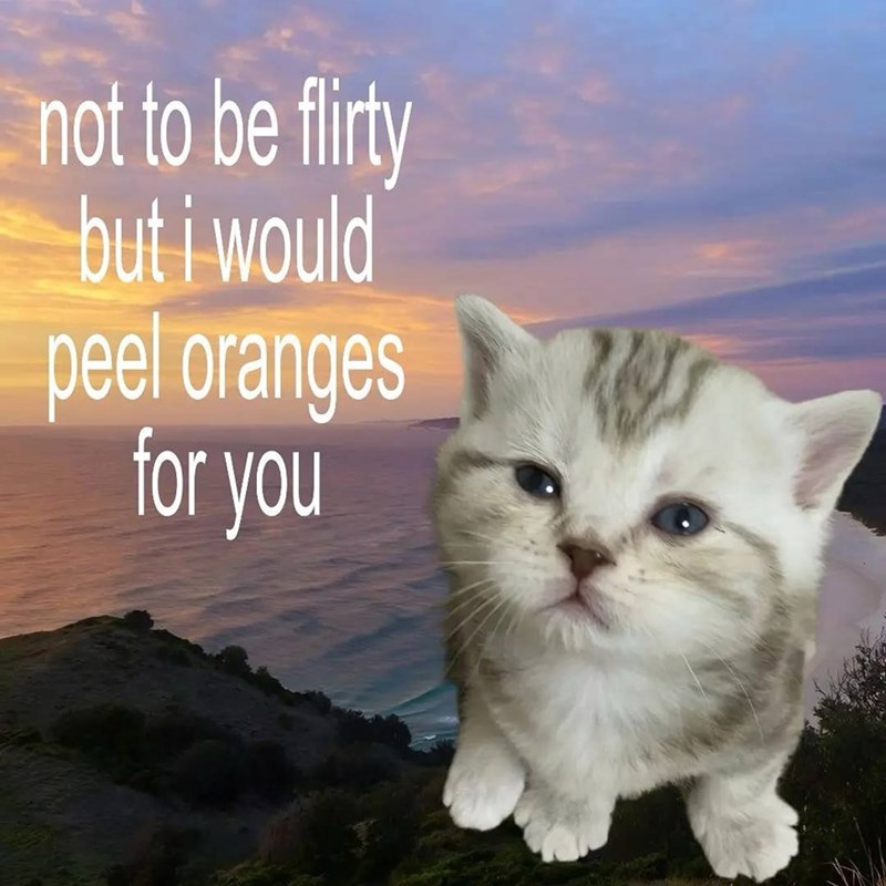 not to be flirty but i would peel oranges for you