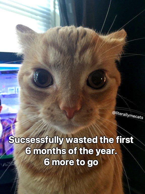 @literallymecats Sucsessfully wasted the first 6 months of the year. 6 more to go