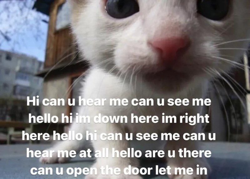 Hi can u hear me can u see me hello hi im down here im right here hello hi can u see me can u hear me at all hello are u there can u open the door let me in