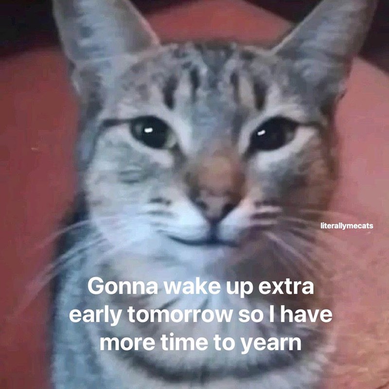 literallymecats Gonna wake up extra early tomorrow so I have more time to yearn