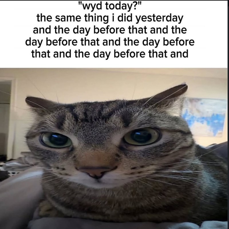 "wyd today?" the same thing i did yesterday and the day before that and the day before that and the day before that and the day before that and