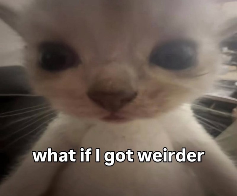 what if I got weirder