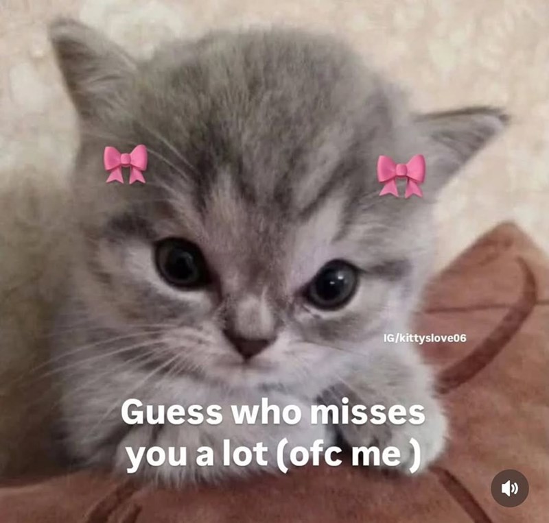 Guess who misses you a lot (ofc me) A\ IG/kittyslove06