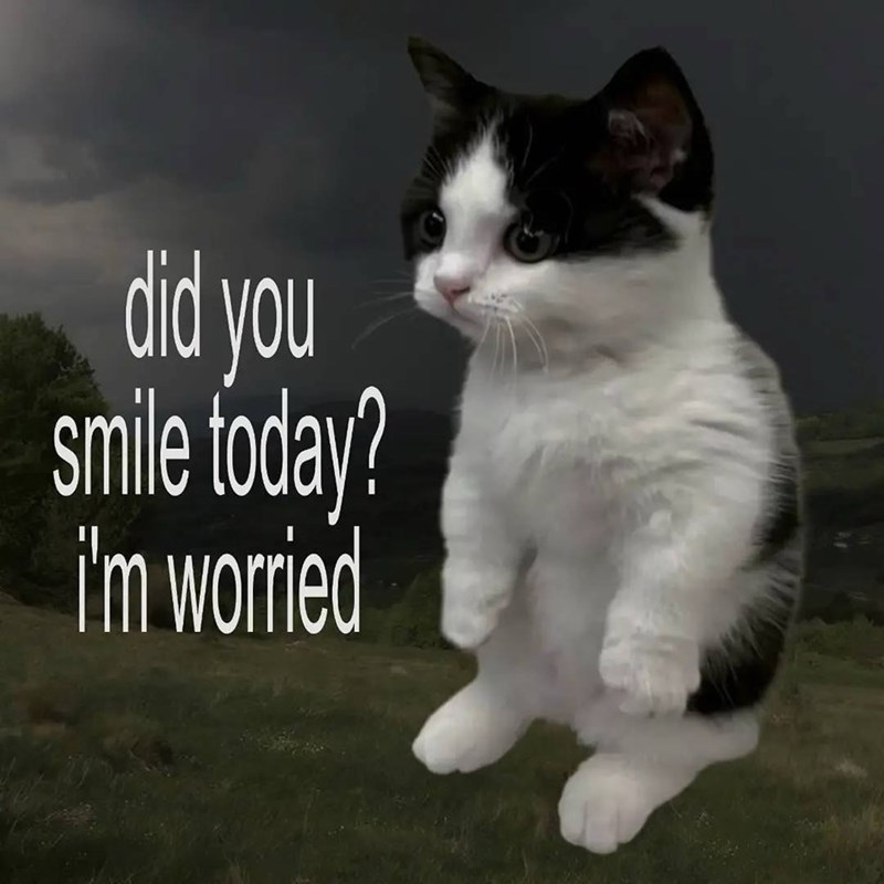 L did you smile today? i'm worried