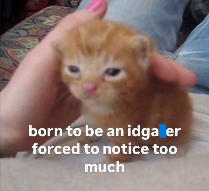 born to be an idga idga er forced to notice too much