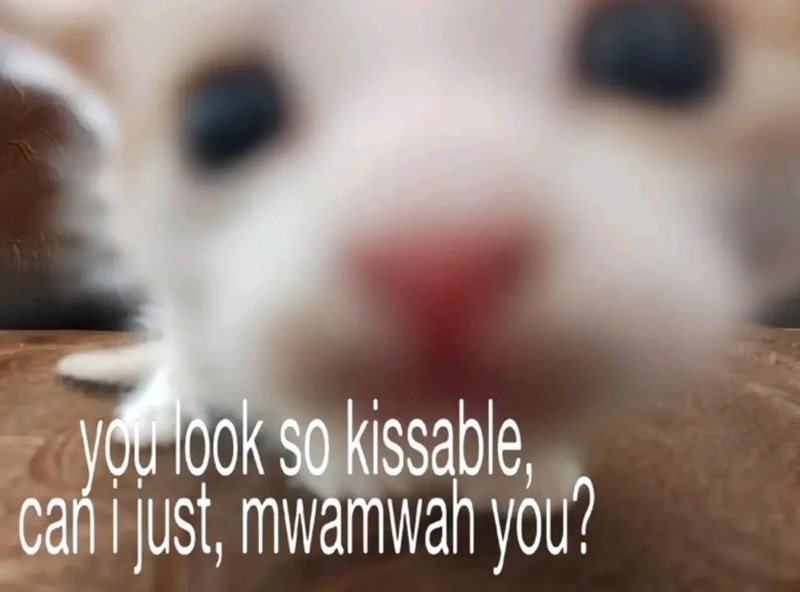 you look so kissable. can i just, mwamwah you?
