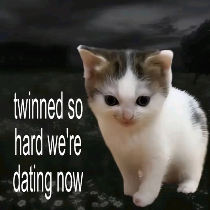 twinned so hard we're dating now