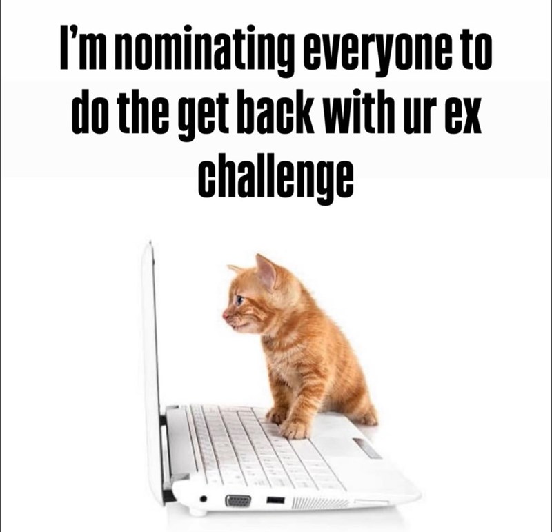I'm nominating everyone to do the get back with ur ex challenge