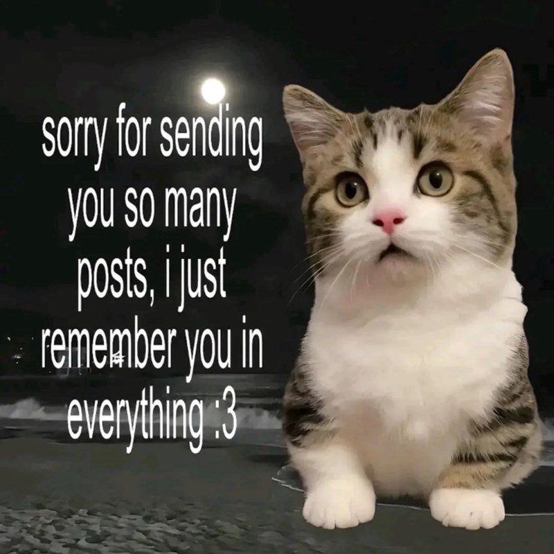 sorry for sending you so many posts, i just remember you in everything 3