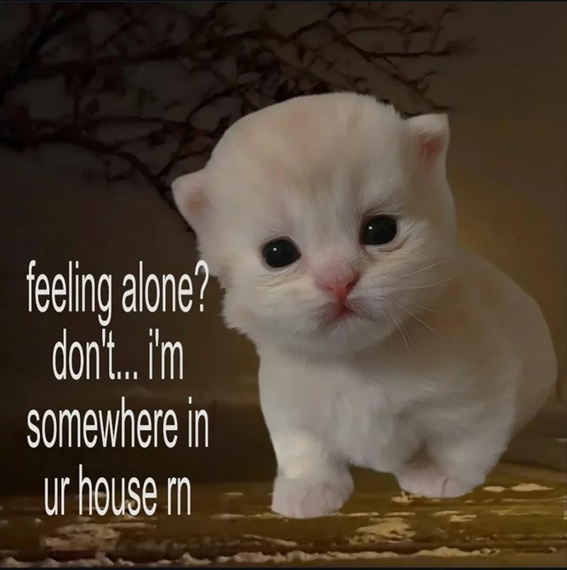 feeling alone? don't... i'm somewhere in ur house rn