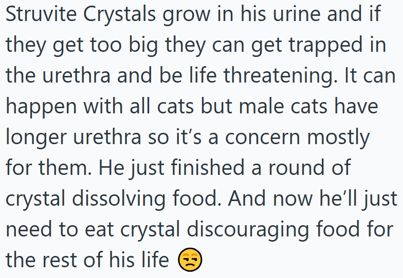 Struvite Crystals grow in his urine and if they get too big they can get trapped in the urethra and be life threatening. It can happen with all cats but male cats have longer urethra so it's a concern mostly for them. He just finished a round of crystal dissolving food. And now he'll just need to eat crystal discouraging food for the rest of his life